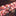 16.4ft Solar Powered LED Candy Cane Rope Light-Next Deal Shop-Next Deal Shop