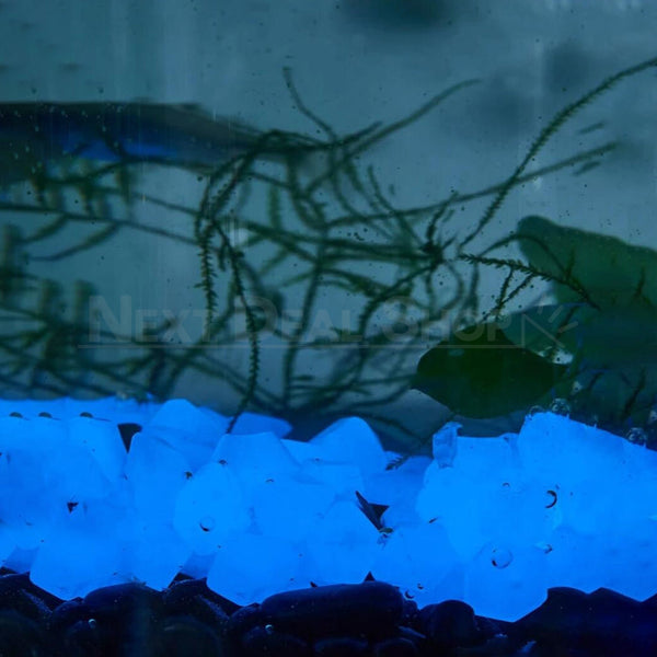 300 Pcs Glow in the Dark Aquarium Gravel Stones Next Deal Shop