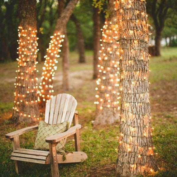 solar powered grow lights for indoor plants Solar-Powered LED Fairy Lights – nextdealshop.com