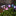 Sparkling Solar Powered LED Butterfly Stake Light-Next Deal Shop-Next Deal Shop