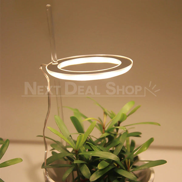 halo grow lights for indoor plants Halo Grow Lights for Indoor Plants (USB Powered) – nextdealshop.com