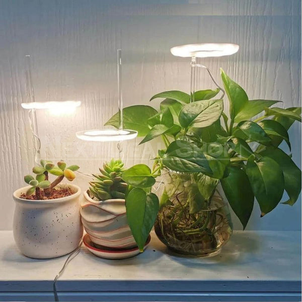halo grow lights for indoor plants Halo Grow Lights for Indoor Plants (USB Powered) – nextdealshop.com