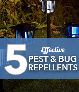 5 Effective Pest and Bug Repellents!