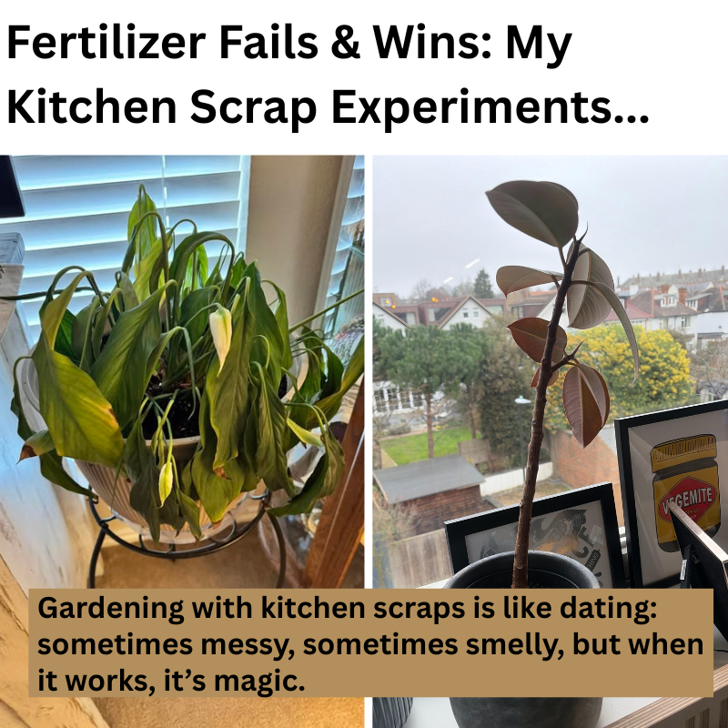 Fertilizer Fails & Wins: My Kitchen-Scrap Experiments