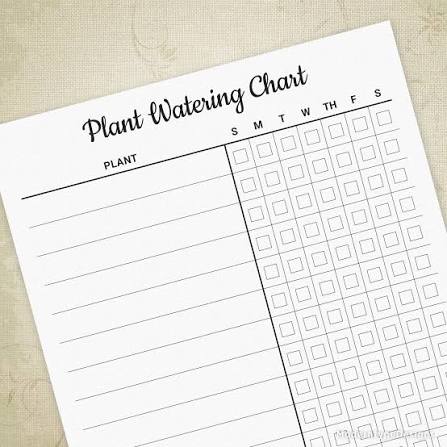 A Simple Trick for Remembering Which Plants You Watered 🌱💧
