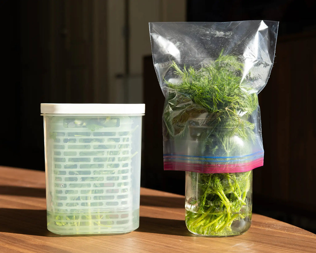 The Best Way to Store Fresh Herbs So They Last Longer 🌿