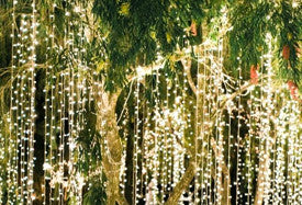 BEST D.I.Y FAIRY LIGHT GARDEN LOOKS