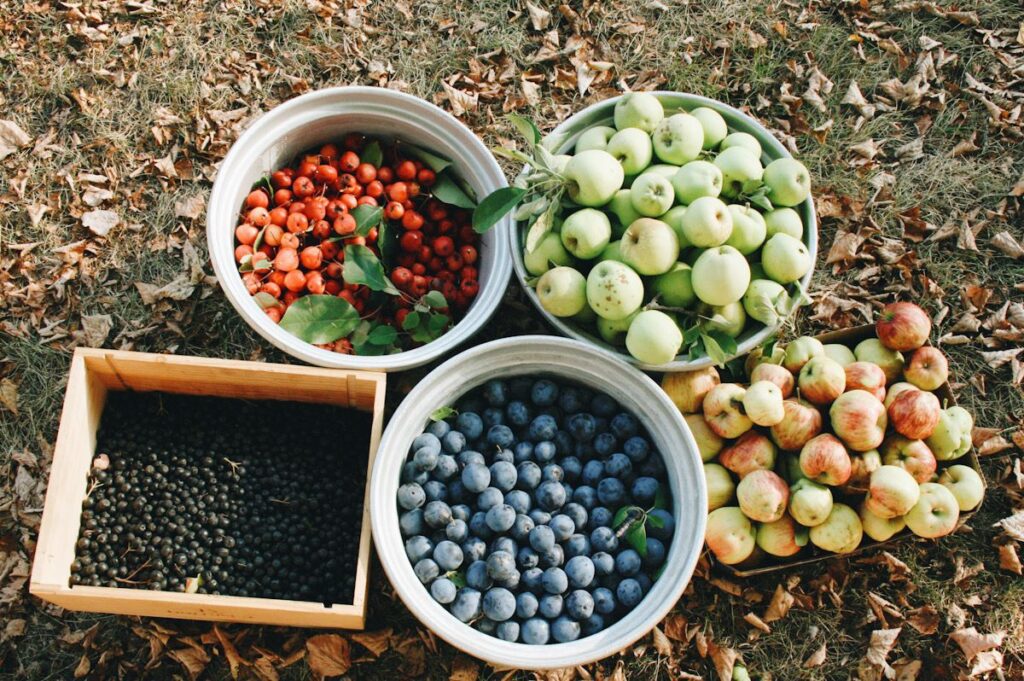 What Is Gleaning? The Simple Idea Behind a More Sustainable Food System 🌾