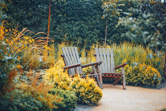 What to Do in Your Garden Before Fall Arrives 🍂