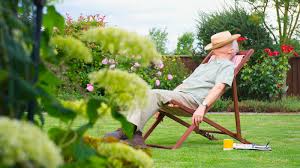 😄 The Lazy Gardener's Guide to a Beautiful Yard