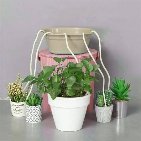 A Simple Trick for Keeping Potted Plants Watered While You're Away