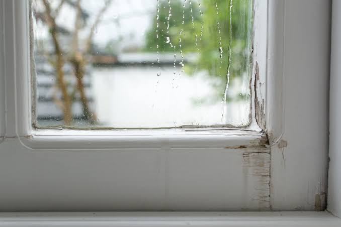 August Thunderstorm Warning: 2 Hidden Window Leaks to Check Before the Next Heavy Rain ⛈️🏠