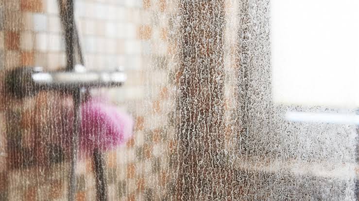 Stop Wasting Money on Descalers: The $2 Natural Hack for Hard Water Stains 🍋🚿