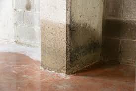 Heavy Rain Warning: 4 Yard Drainage Flaws That Threaten Your Basement (and How to Fix Them Cheap) ⛈️🏠