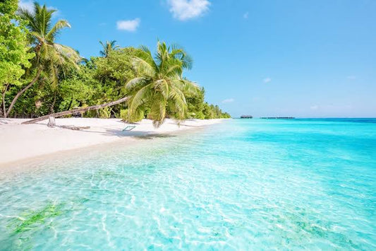 The Pre-Trip Reset: How to Leave Your House Pristine Before Summer Vacation