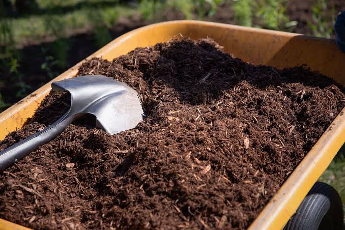 Mulch in the Garden: What It Does and When to Use It 🌿