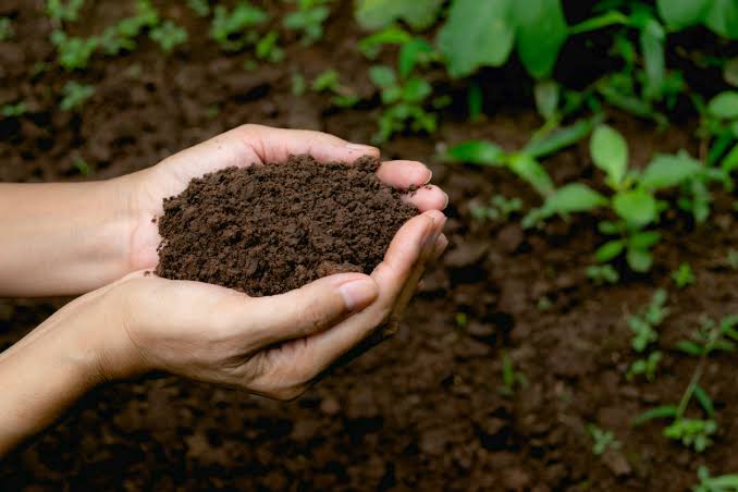 How to Improve Garden Soil Without Starting Over 🌱