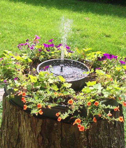 EASY STEPS ON HOW TO SET UP A BIRD FOUNTAIN KIT