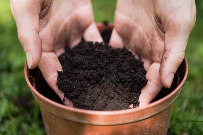 A Quick Way to Check if Your Garden Soil Is Too Wet 🌱💧