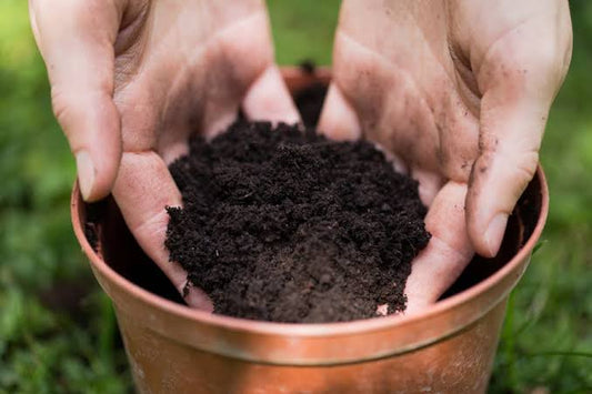 A Quick Way to Check if Your Garden Soil Is Too Wet 🌱💧