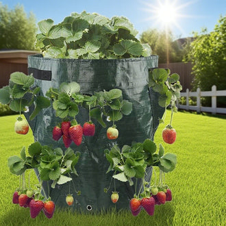 10 Gallon Strawberry Grow Bag