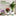 10 Pcs - Stackable Monstera Plant Support Stake-Next Deal Shop-Next Deal Shop