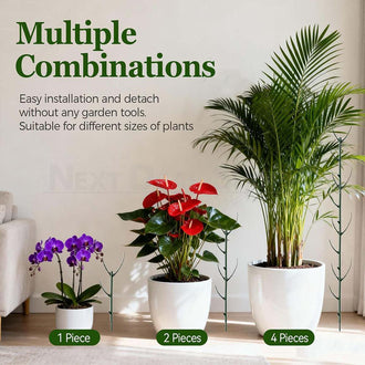 10 Pcs - Stackable Monstera Plant Support Stake
