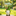 Flocked Moss Garden Gnome Figurine with Leaf Umbrella