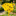 2 Pack - Bee Shaped Pollinator Watering Station-Next Deal Shop-Next Deal Shop