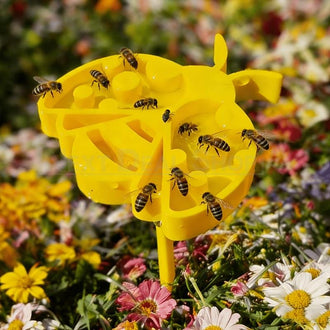 2 Pack - Bee Shaped Pollinator Watering Station