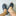 2 Pcs - Big Toe Shoe Charm-View 2-Next Deal Shop
