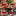 2 Pcs - Christmas Knitted Bottle Sweater Cover-Next Deal Shop-Next Deal Shop