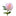 2 Pcs - Solar-Powered LED Pink Peony Stake Light-Next Deal Shop-Next Deal Shop