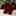 3 Pcs Festive Christmas Flower Ornament Set-Next Deal Shop-Next Deal Shop