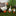 3 Pcs - Miniature Goose Garden Decor-Next Deal Shop-Next Deal Shop