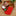 4 Pcs - Mini Christmas Stocking Set-Next Deal Shop-Next Deal Shop