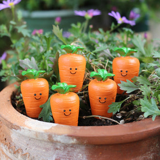 5 Pcs - Adorable Carrot Garden Stake
