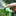 50ft Lightweight Expandable Gardening Hose (w/ Hose Nozzle)-View 2-Next Deal Shop