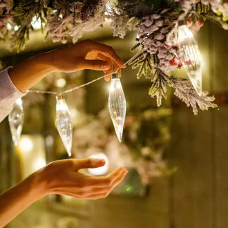 5.9ft 10 LEDs Elegant Glass Light Bulb String Lights