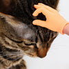 6 Pcs - Mini Finger Hand-Next Deal Shop-Next Deal Shop