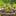 6 Pcs Rustic Metal Flower Garden Stake Set-Next Deal Shop-Next Deal Shop