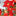 6.5ft Poinsettia Christmas Flowers LED String Light-Next Deal Shop-Next Deal Shop