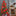 6.5ft Poinsettia Christmas Flowers LED String Light-Next Deal Shop-Next Deal Shop