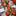 6.5ft Poinsettia Christmas Flowers LED String Light-Next Deal Shop-Next Deal Shop