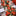 6.5ft Poinsettia Christmas Flowers LED String Light-View 1-Next Deal Shop