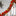 6.5ft Poinsettia Christmas Flowers LED String Light-View 2-Next Deal Shop