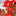 6.5ft Poinsettia Christmas Flowers LED String Light-View 6-Next Deal Shop