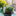 9 Pcs - Lily of the Valley Garden Stake-View 4-Next Deal Shop