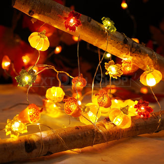 9.84 ft 30 LEDs Fall String Light