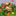 Adorable Mushroom Vine String Light-View 7-Next Deal Shop